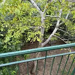 Апартаменты Porta Pispini - Per Gruppi Vicina Al Centro Сиена